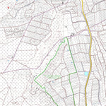 Bad Dürkheim 10 (1:5,000)