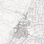 Neustadt an der Weinstraße 1 (1:5,000)