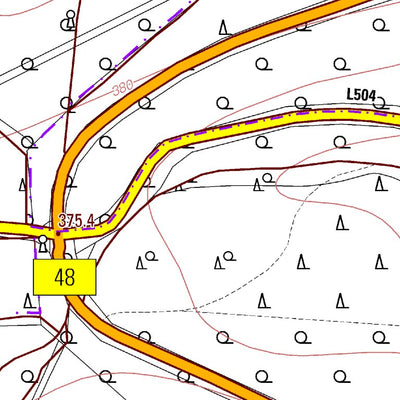 Hochspeyer 4 (1:5,000)