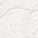 Wachenheim an der Weinstraße 6 (1:5,000)