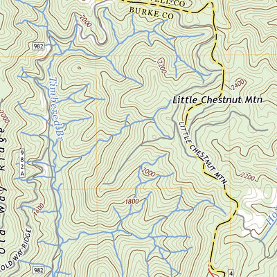 Chestnut Mountain, NC (2022, 24000-Scale) Preview 3