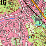 Bad Breisig (1:25,000)