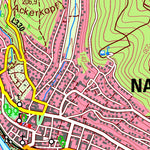 Nassau (1:25,000)