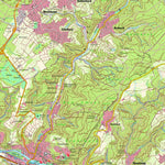 Bad Ems (1:25,000)
