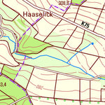 Miehlen (1:25,000)