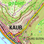 Oberwesel (1:25,000)