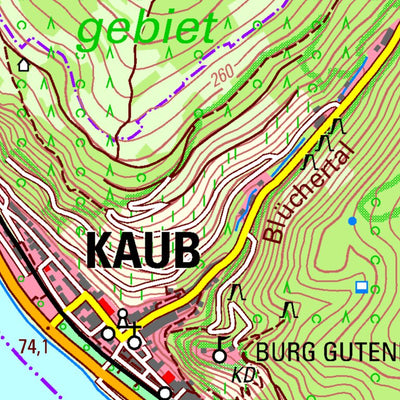 Oberwesel (1:25,000)