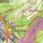 Lahnstein (1:25,000)