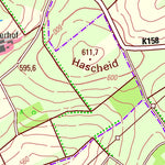 Auw bei Prüm 1 (1:25,000)