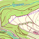 Trierweiler (1:25,000)