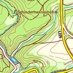 Bad Sobernheim (1:25,000)