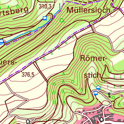 Bad Sobernheim (1:25,000)