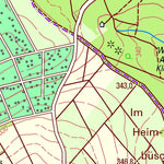 Weiler bei Bingen (1:25,000)