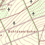 Dittelsheim-Heßloch (1:25,000)