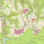 Waldrach (1:25,000)