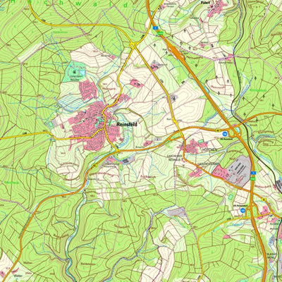 Reinsfeld (1:25,000)