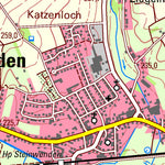 Steinwenden (1:25,000)