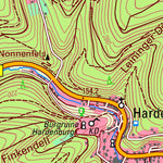 Bad Dürkheim (1:25,000)