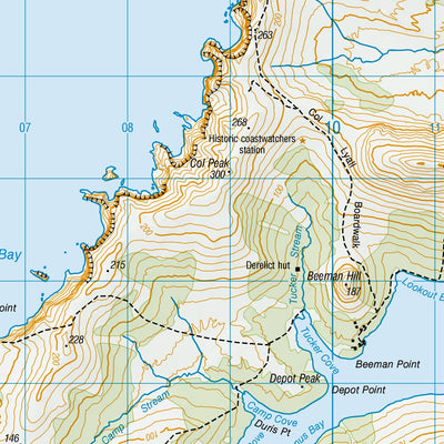CM01 - Campbell Island/Motu Ihupuku