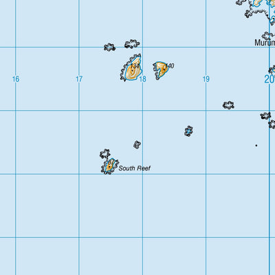 CI06 - Pitt Island (Rangiauria)