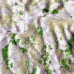 Río Neuquén III 1/50.000