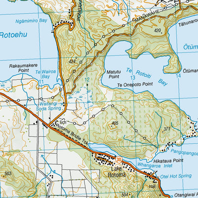 Rotoma BE38 - Lake Rotoma Map by Land Information New Zealand | Avenza Maps
