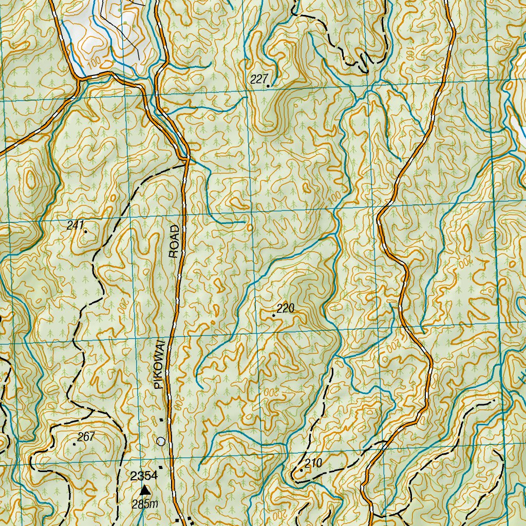 Rotoma BE38 - Lake Rotoma Map by Land Information New Zealand | Avenza Maps