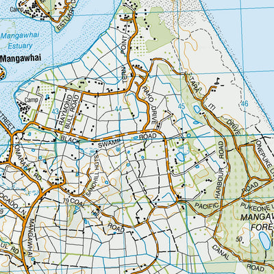 AY31 - Mangawhai