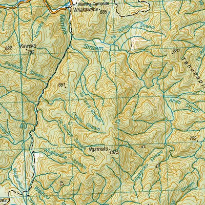 BG39 - Ruatahuna