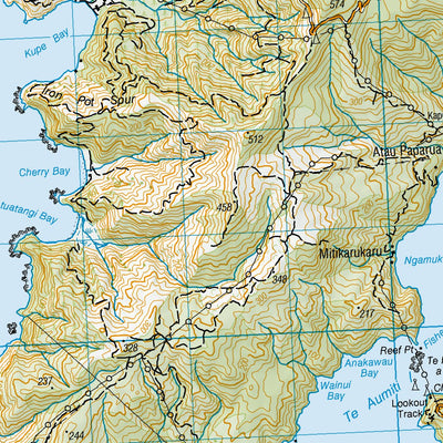 BP28 - Te Aumiti (French Pass)