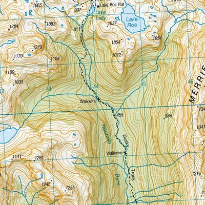 Map Lake Roe CE06 - Lake Roe Map by Land Information New Zealand | Avenza Maps