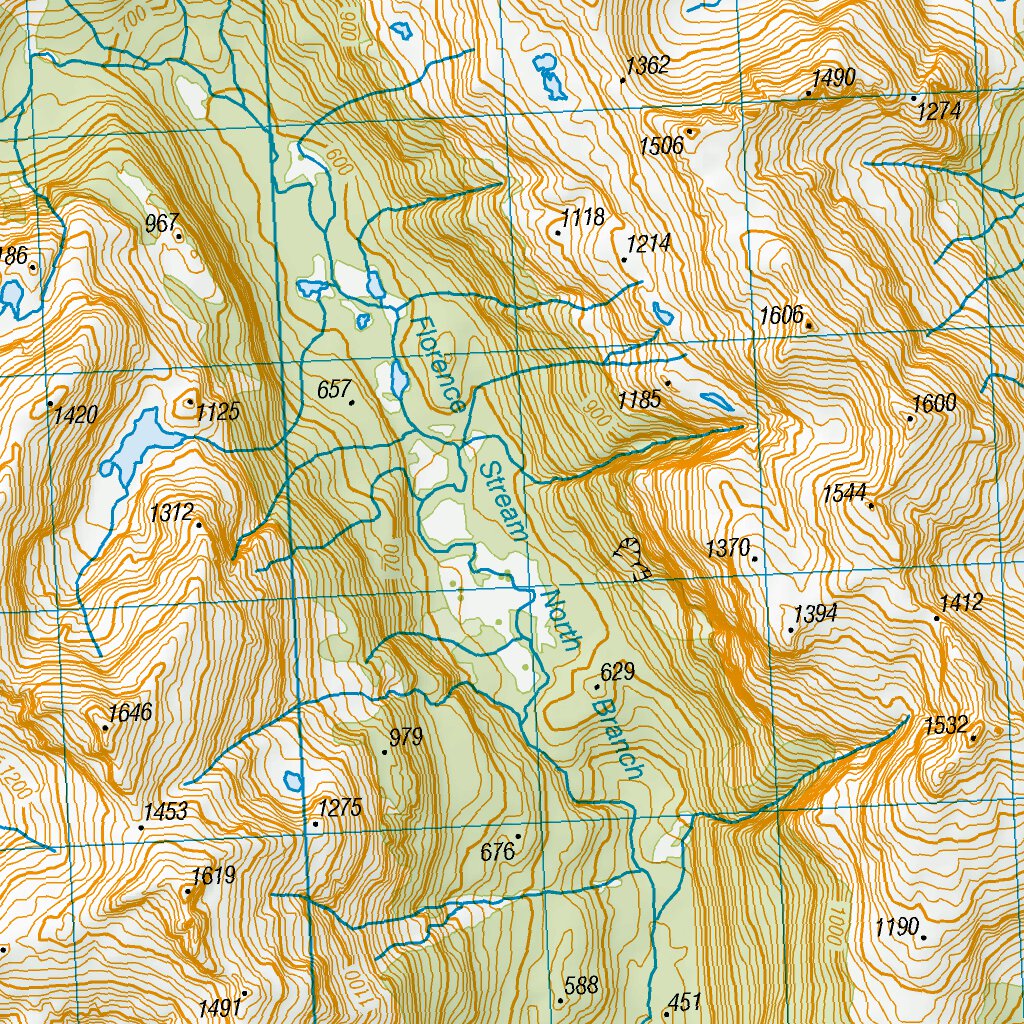 Map Lake Roe CE06 - Lake Roe Map by Land Information New Zealand | Avenza Maps