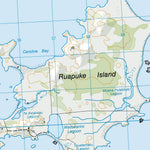 CH11 - Ruapuke Island