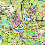 Reichenbach (1:50,000)