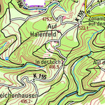 Winterspelt (1:50,000)