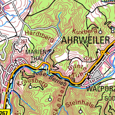 Bad Neuenahr-Ahrweiler (1:100,000)