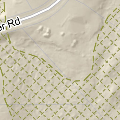 Ewen Preserve - Orange, CT