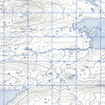 Backway Lake West, NL (013G16 CanMatrix)