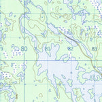 Cavanagh, NL (023J01 CanMatrix)
