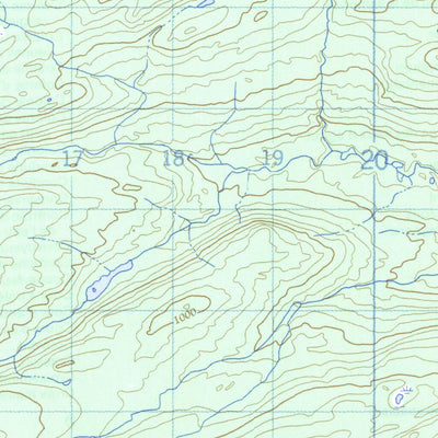 Pinus River, NL (013F03 CanMatrix)