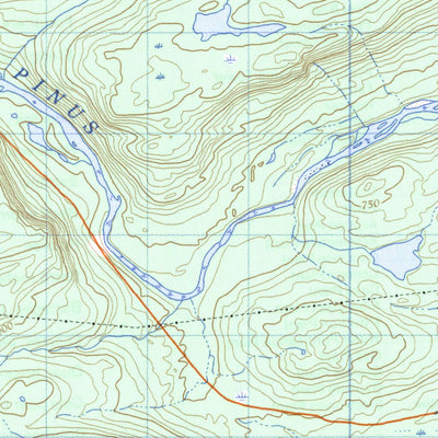Pinus River, NL (013F03 CanMatrix)