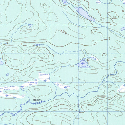 Minipi Lake, NL (013C07 CanMatrix)