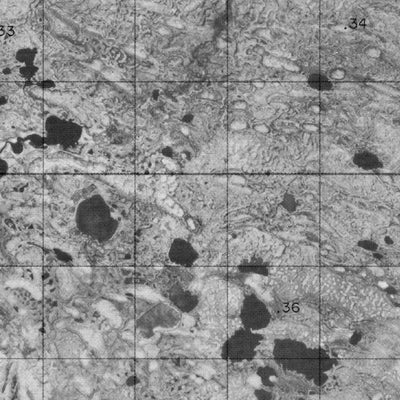 Unnamed, ON (054A01 CanMatrix)