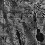 Unnamed, ON (043C05 CanMatrix)