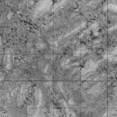 Unnamed, ON (043L03 CanMatrix)