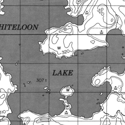 Whiteloon Lake, ON (053C11 CanMatrix)