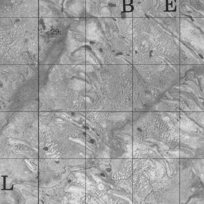 Unnamed, ON (043N05 CanMatrix)