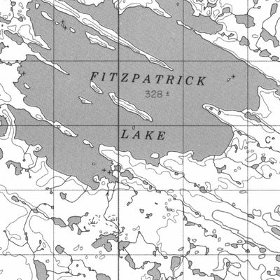 Fitzpatrick Lake, NU (065N13 CanMatrix)