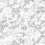 Cronyn Lake, NT (075G06 CanMatrix)
