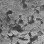 Unnamed, NU (078A06 CanMatrix)